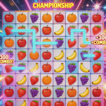 The Puzzle Champion Bundle